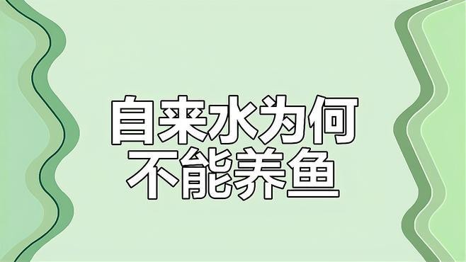 金魚為什么不建議養（虎頭金魚為什么不建議養金魚為什么不建議養綠韻天使）