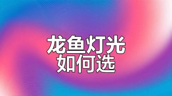 龍魚燈應該選擇什么品牌？（龍魚燈什么牌子最好）