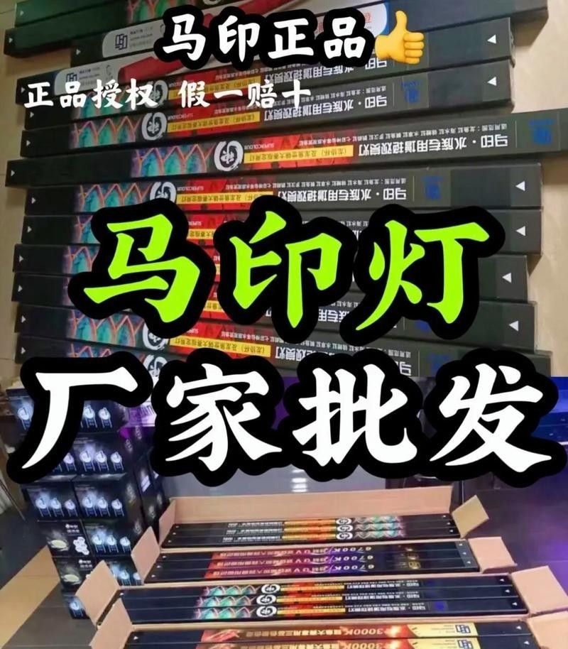 龍魚燈應該選擇什么品牌？（龍魚燈什么牌子最好）