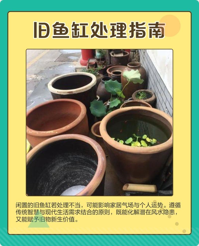 龍魚缸寬70厘米最簡單處理方法（《龍魚缸寬70厘米最簡單處理方法》） 龍魚缸寬70厘米最簡單處理方法（《龍魚缸寬70厘米最簡單處理方法》） 龍魚論壇 第7張