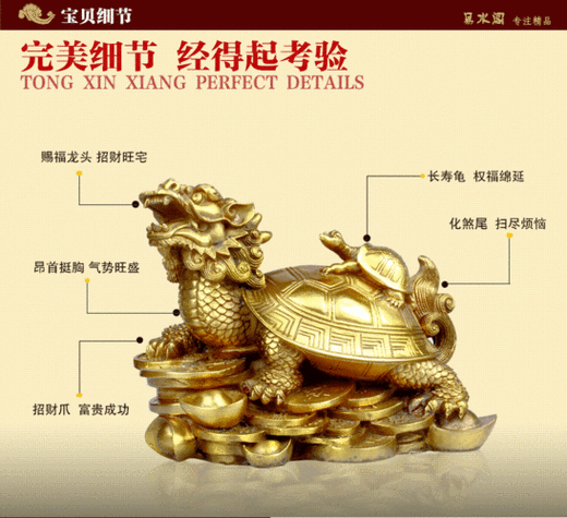 給我一張龍龜擺放的詳細示意圖（《龍龜擺放示意圖相關摘要》）