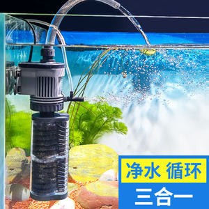銀龍魚混養魚最佳搭配（銀龍魚混養魚最佳搭配圖片）（《銀龍魚混養魚最佳搭配》與銀龍魚混養的最佳搭配） 銀龍魚混養魚最佳搭配（銀龍魚混養魚最佳搭配圖片）（《銀龍魚混養魚最佳搭配》與銀龍魚混養的最佳搭配） 銀龍魚百科