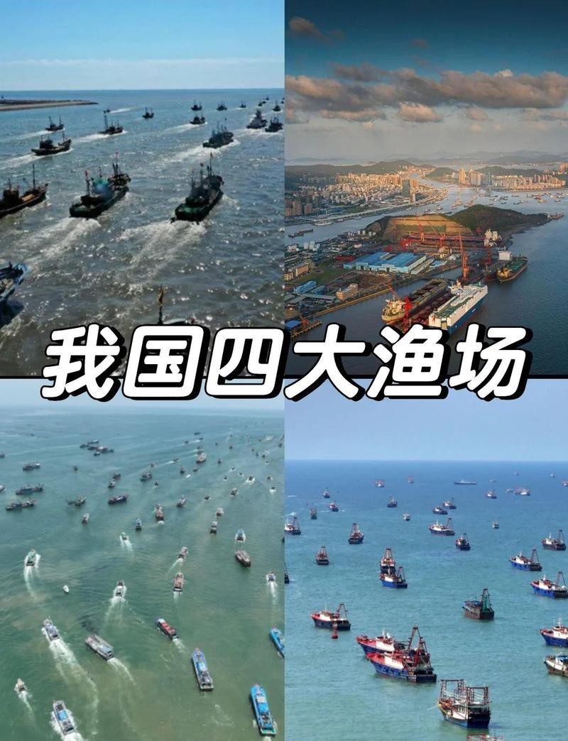 全國漁場分布圖（《溫暖水域孕育著金槍魚、呈現了我國各類漁場的高價值空間）