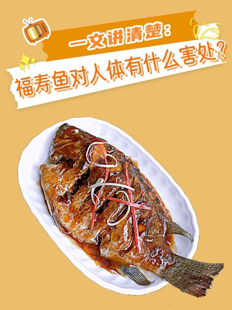 福壽魚為什么不建議吃（《福壽魚為什么不建議吃》） 福壽魚為什么不建議吃（《福壽魚為什么不建議吃》） 龍魚論壇 第1張