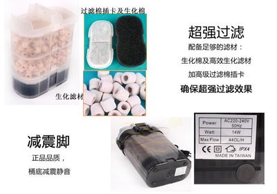 金龍魚和銀龍魚的主要區別是什么至少列三點（金龍魚和銀龍魚有什么區別）（金龍魚與銀龍魚的區別）