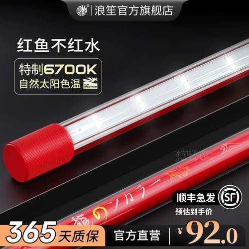 雷龍魚用什么魚缸燈（雷龍魚專用燈光解析）