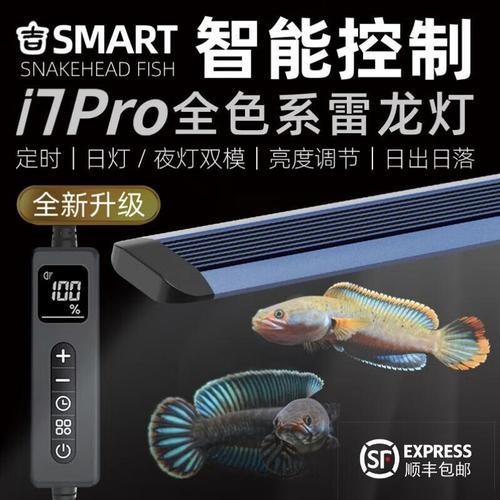 雷龍魚用什么魚缸燈（雷龍魚專用燈光解析）