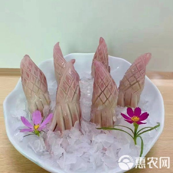 火箭魚圖片價格（火箭魚價格走勢圖有沒有火箭魚的價格走勢圖有沒有火箭魚）