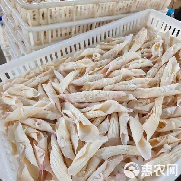 火箭魚圖片價格（火箭魚價格走勢圖有沒有火箭魚的價格走勢圖有沒有火箭魚）