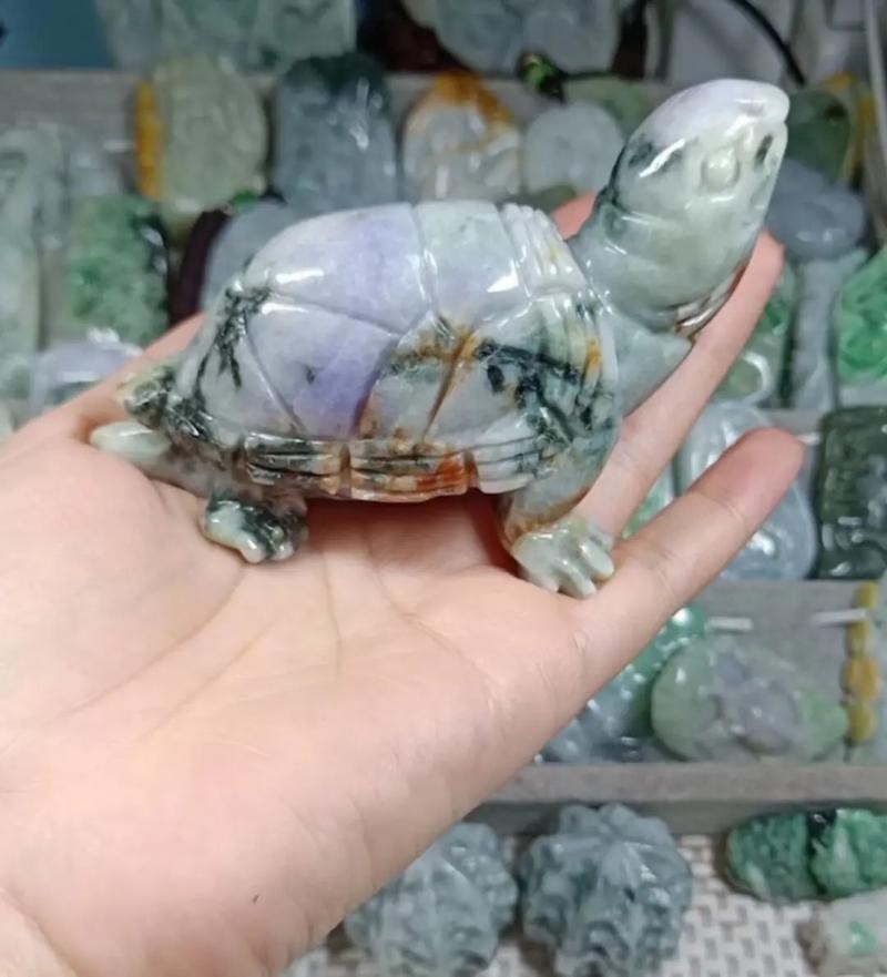 翡翠巴西龜長大后圖片