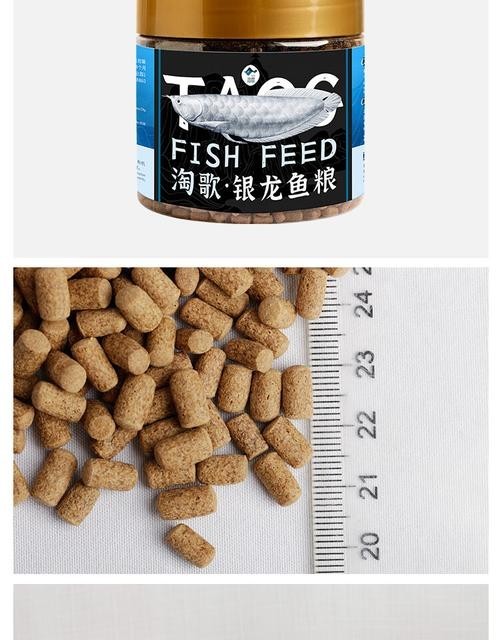銀龍魚吃什么飼料顆粒好呢