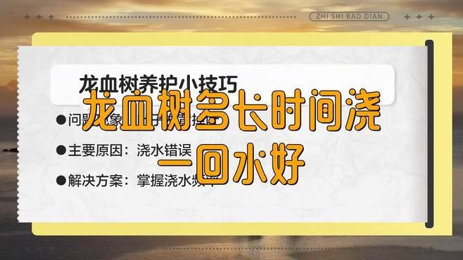 龍血樹多久澆一次水？
