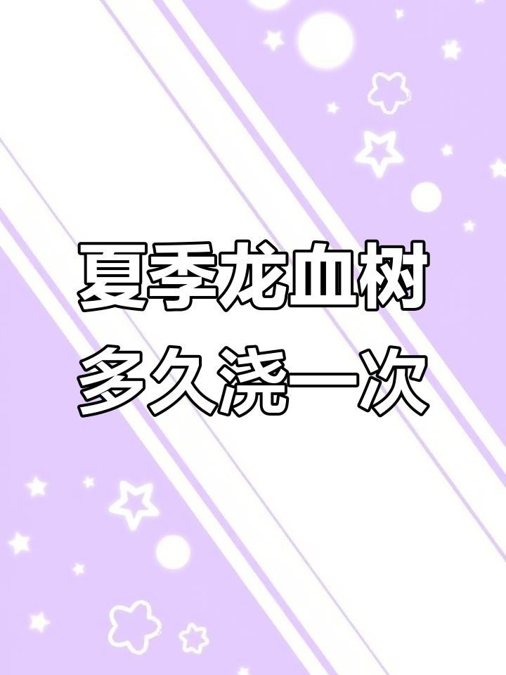 龍血樹多久澆一次水？
