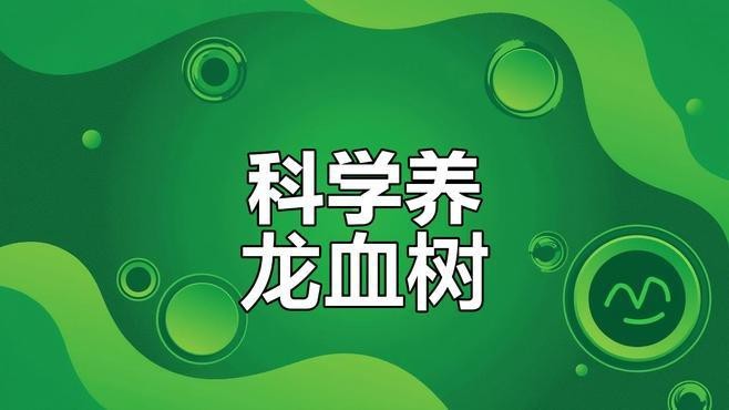 龍血樹多久澆一次水？