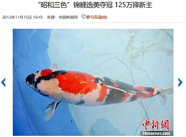 錦鯉和龍魚哪個更有升值空間？