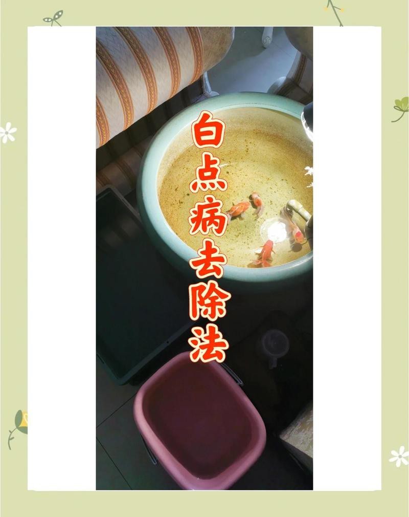 魚(yú)白點(diǎn)病最簡(jiǎn)單治療加鹽