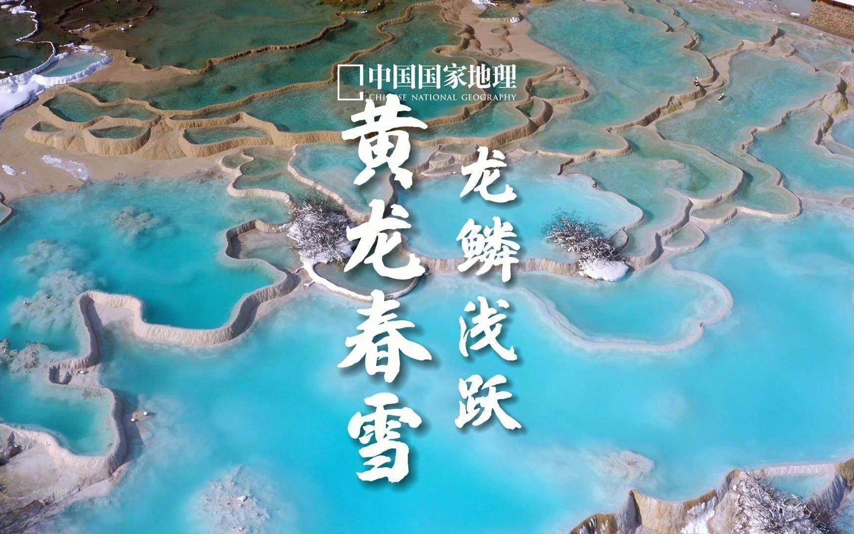 黃龍和金龍在現代文化中的表現