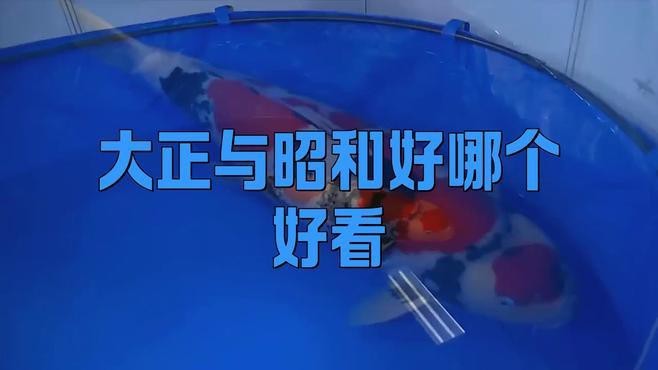 大正與昭和好哪個好看