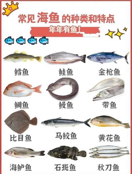 魚的種類圖片和名字