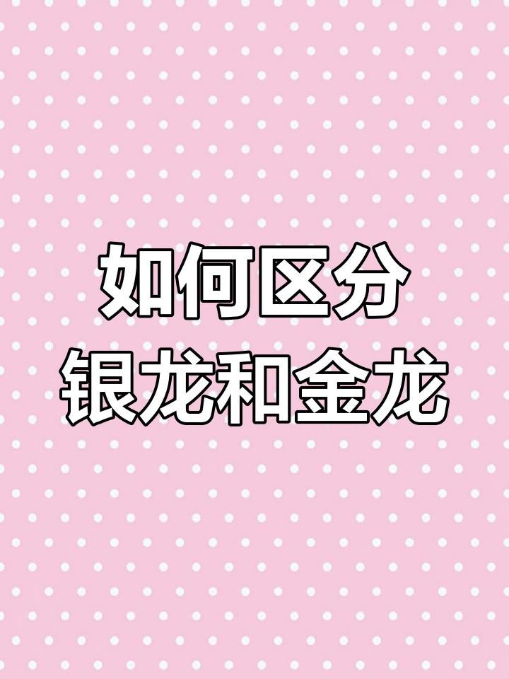 請詳細描述金龍魚和銀龍魚的外貌特征