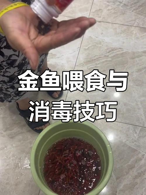 如何預防過背金龍鱗片類疾??？