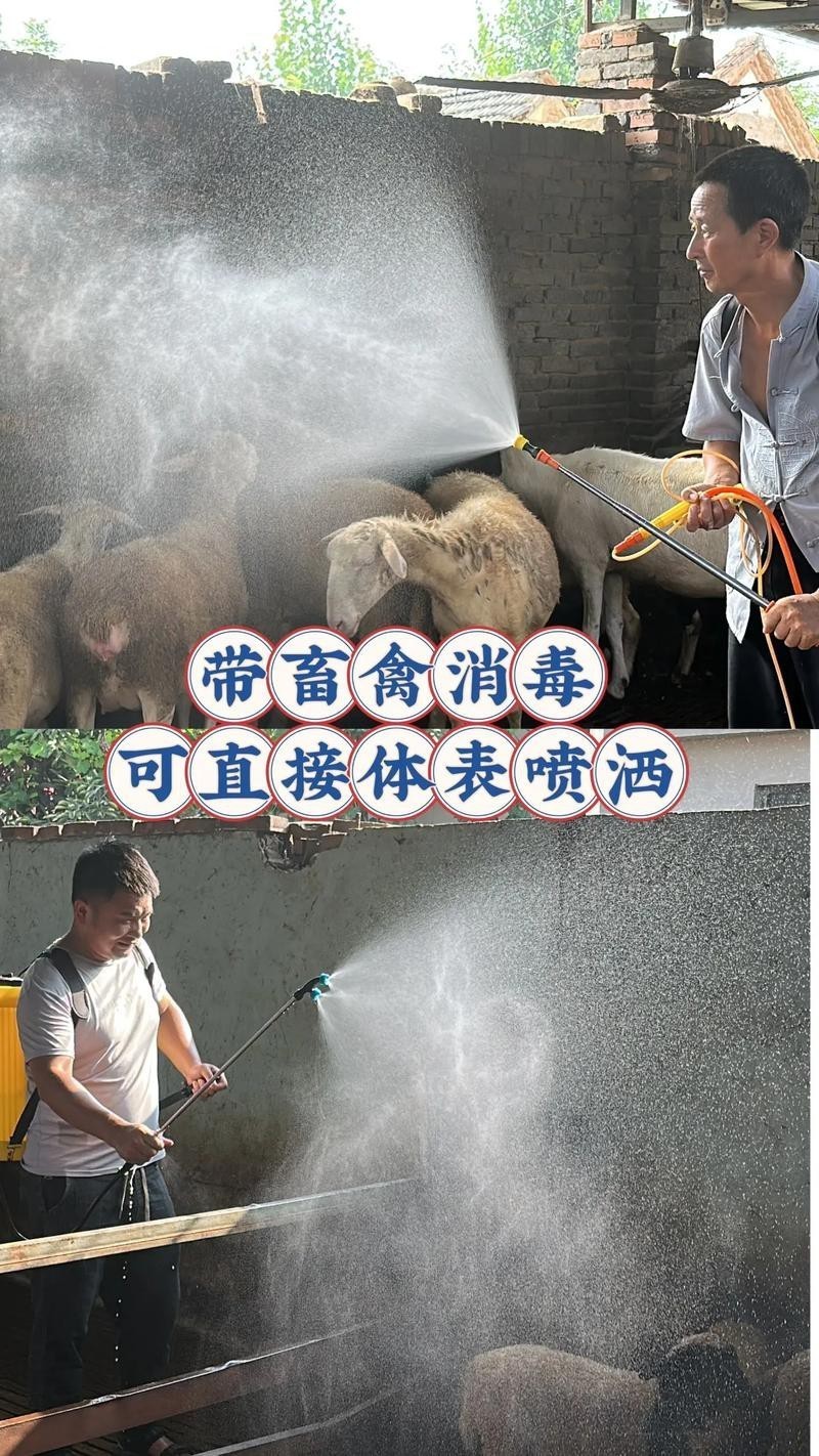 如何預防過背金龍鱗片類疾病？