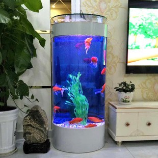 紅龍魚單側掉眼怎么辦啊圖片視頻大全（紅龍魚單側掉眼怎么辦啊圖片視頻大全集） 紅龍魚單側掉眼怎么辦啊圖片視頻大全（紅龍魚單側掉眼怎么辦啊圖片視頻大全集） 龍魚百科