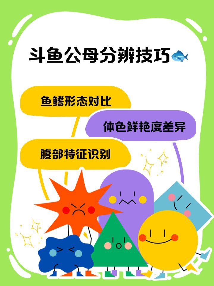 斗魚一公一母對照表