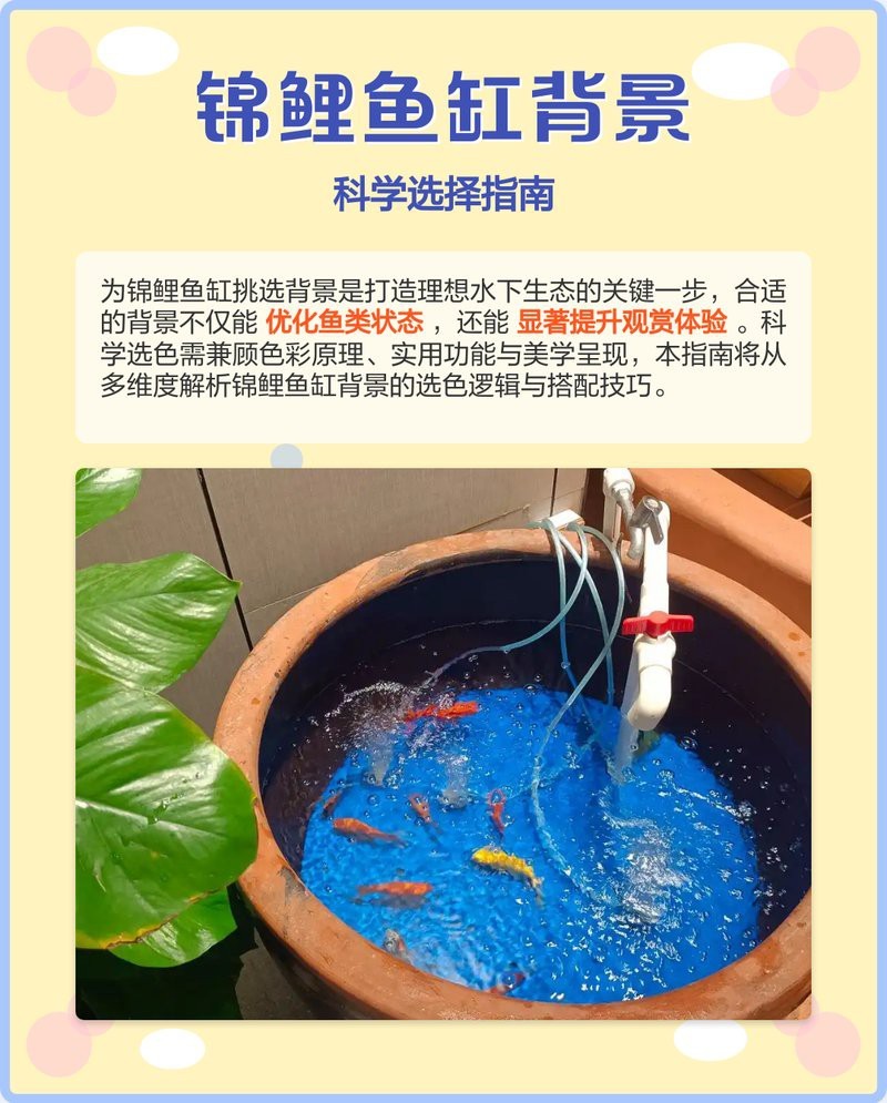 如何選擇適合的紅龍魚(yú)壁紙材質(zhì)？