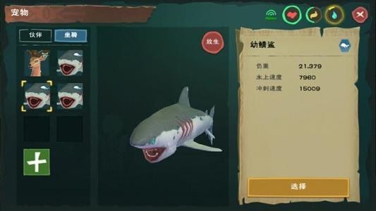 鯊魚能不能和金龍魚混養一起釣