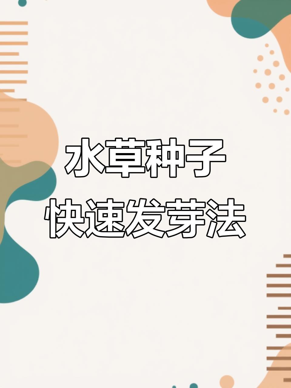 龍魚缸水草種植步驟詳解