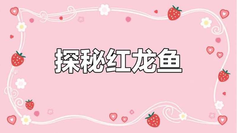 紅龍魚圖片高清視頻素材