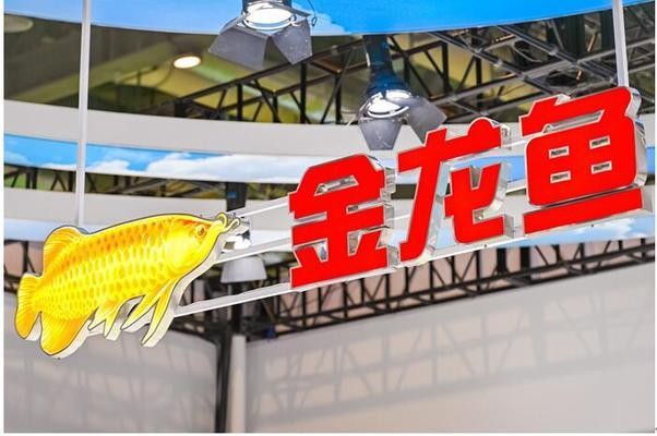 幫我看一下銀龍魚的照片英語翻譯(幫我看一下銀龍魚的照片英語翻譯怎么寫)