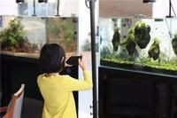 附近水族魚店