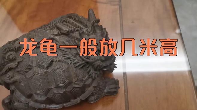 龍龜擺放高度有講究嗎？