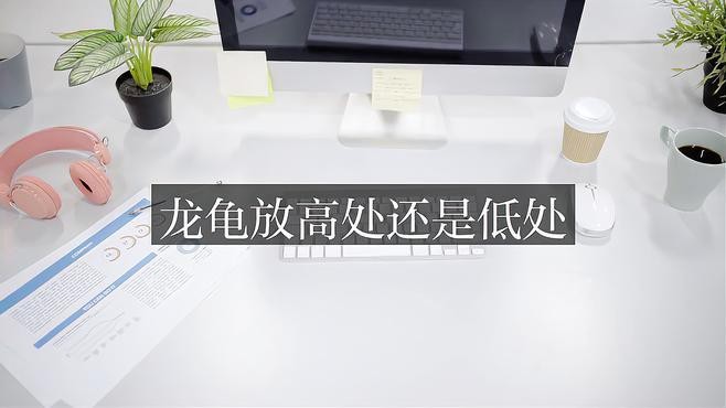 龍龜擺放高度有講究嗎？