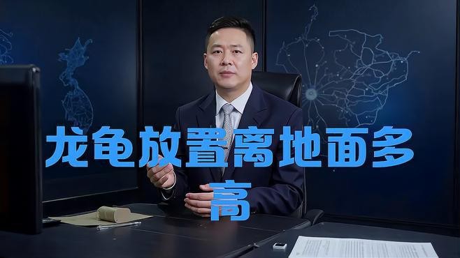龍龜擺放高度有講究嗎？