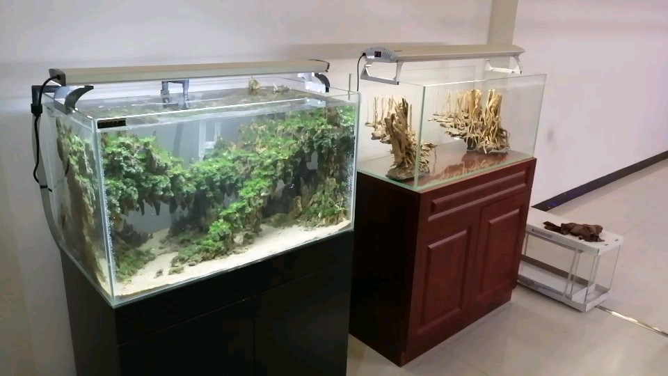 這幾天忙新店做景做好了一一發(fā)給大家看看