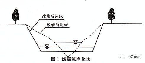 簡易河水凈化方法