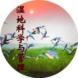 簡易河水凈化方法