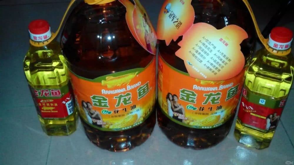 15厘米長(zhǎng)的銀龍魚需要多大的缸呢(10cm銀龍魚需要多大魚缸)