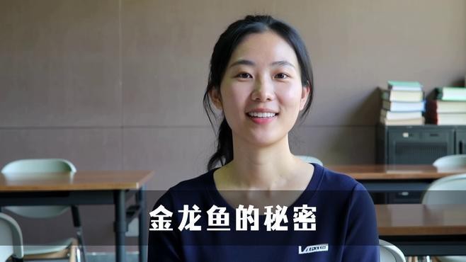 金龍魚如何保持市場領先地位？