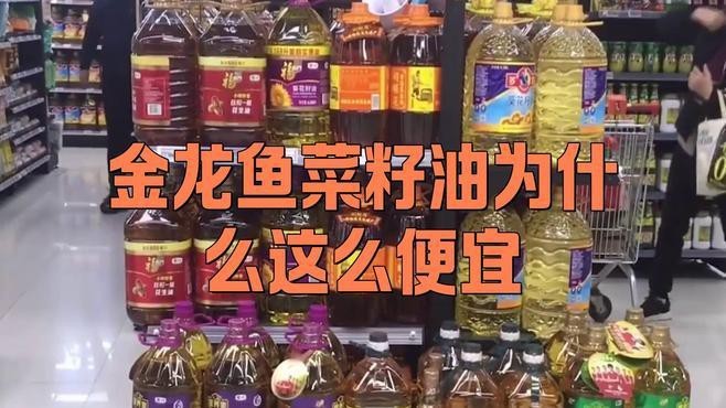 金龍魚如何保持市場領先地位？