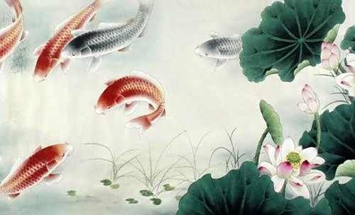 魚跳缸是吉兆還是兇兆