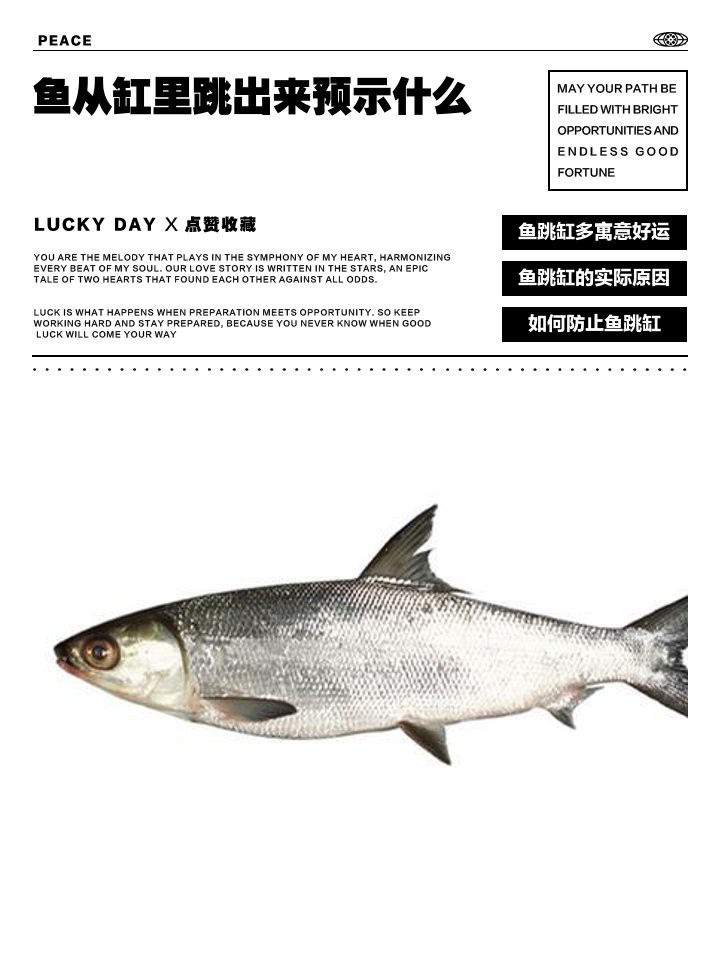 魚跳缸是吉兆還是兇兆