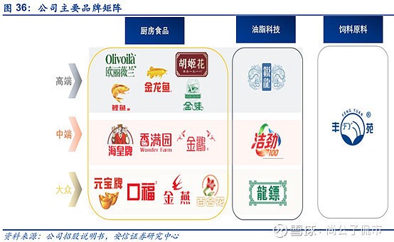哪款魚(yú)缸好用（如何選擇一個(gè)適合自己的魚(yú)缸）