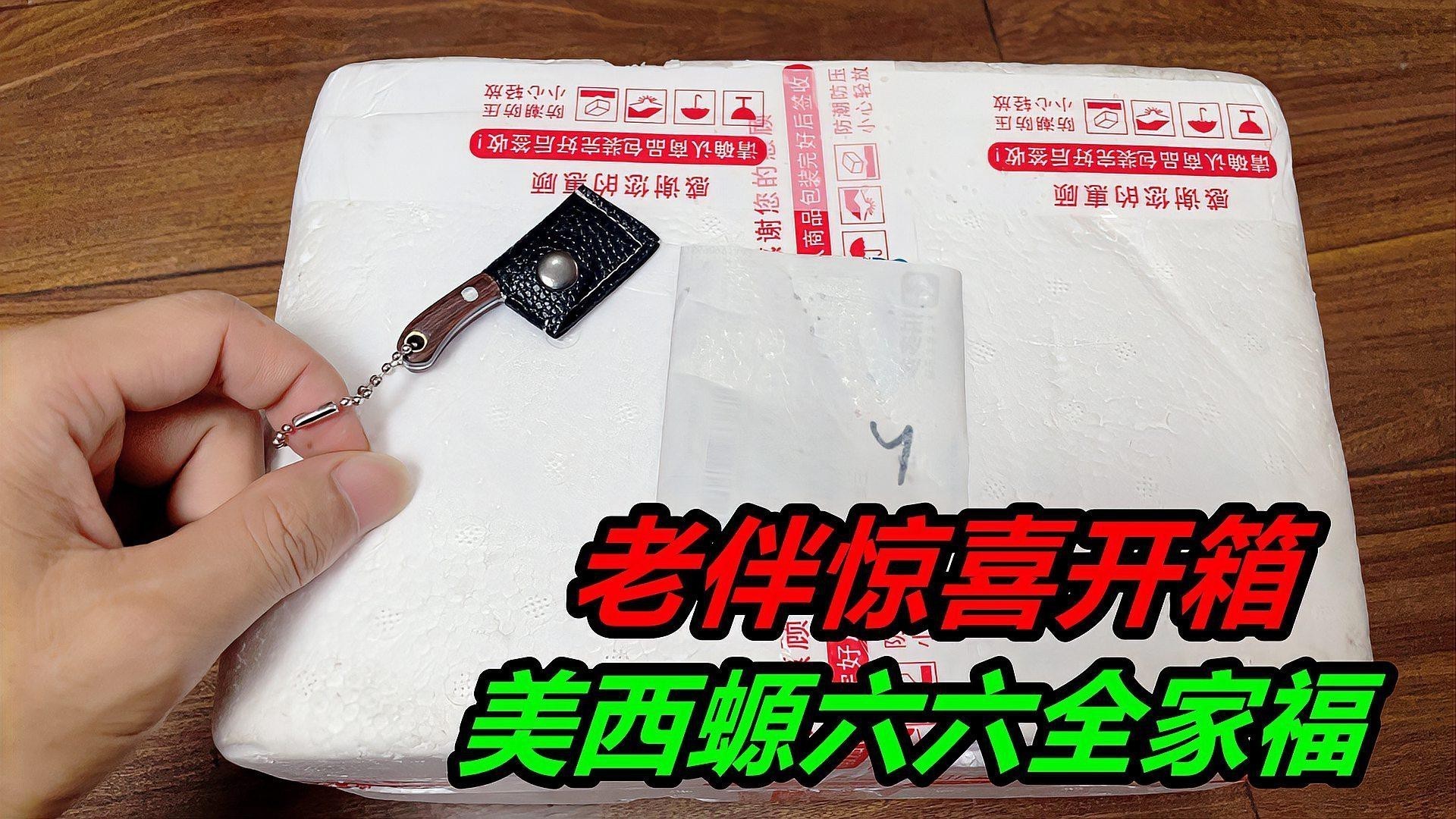 六角恐龍魚冬天怎么養