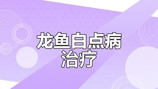 龍魚白點病有哪些癥狀？