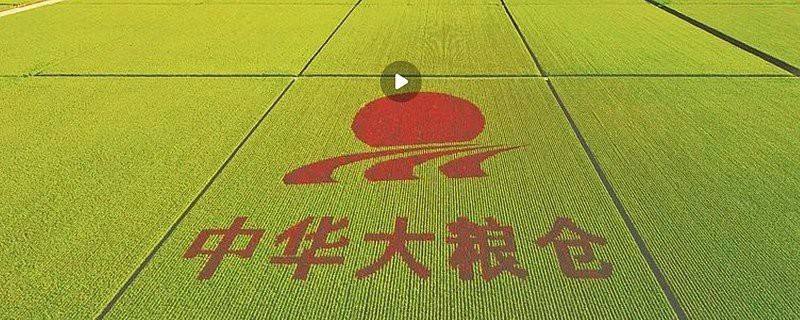 北大荒重大資產(chǎn)注入