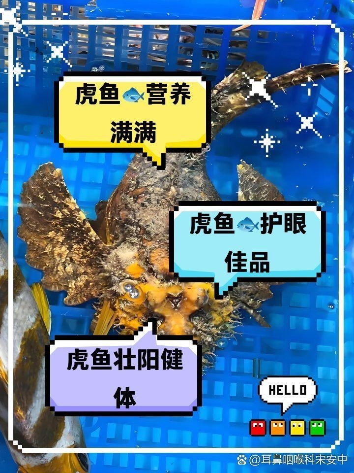 虎魚的功效與作用